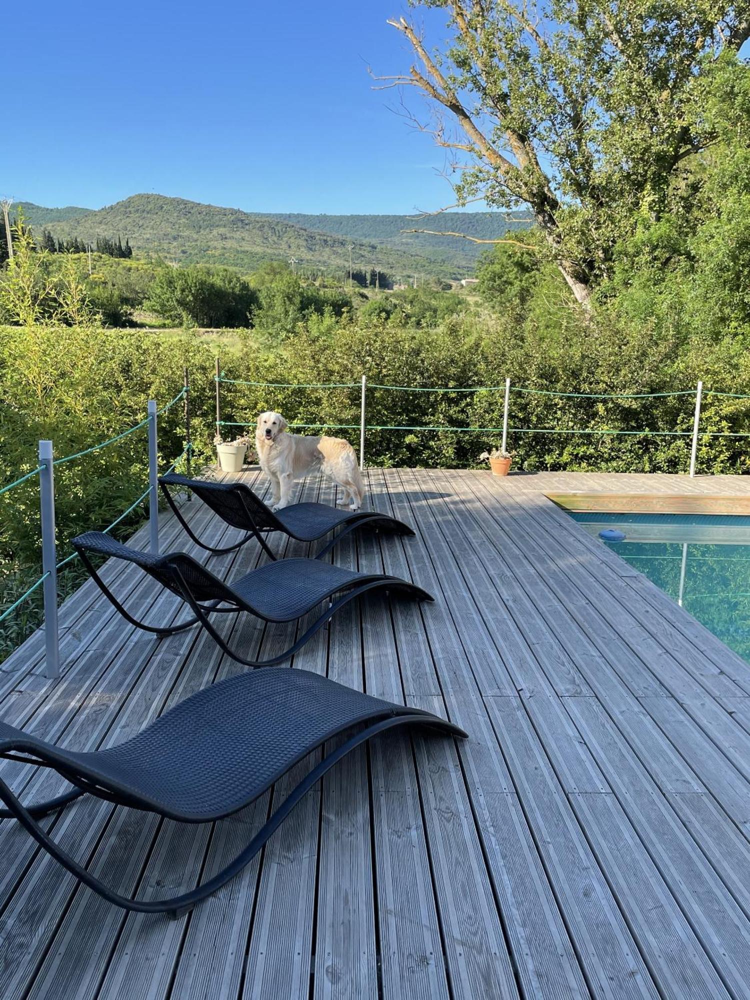 Le Domaine De La Tuilerie - Gite De Charme En Bord De Riviere Avec Piscine Servies-en-Val Exterior photo