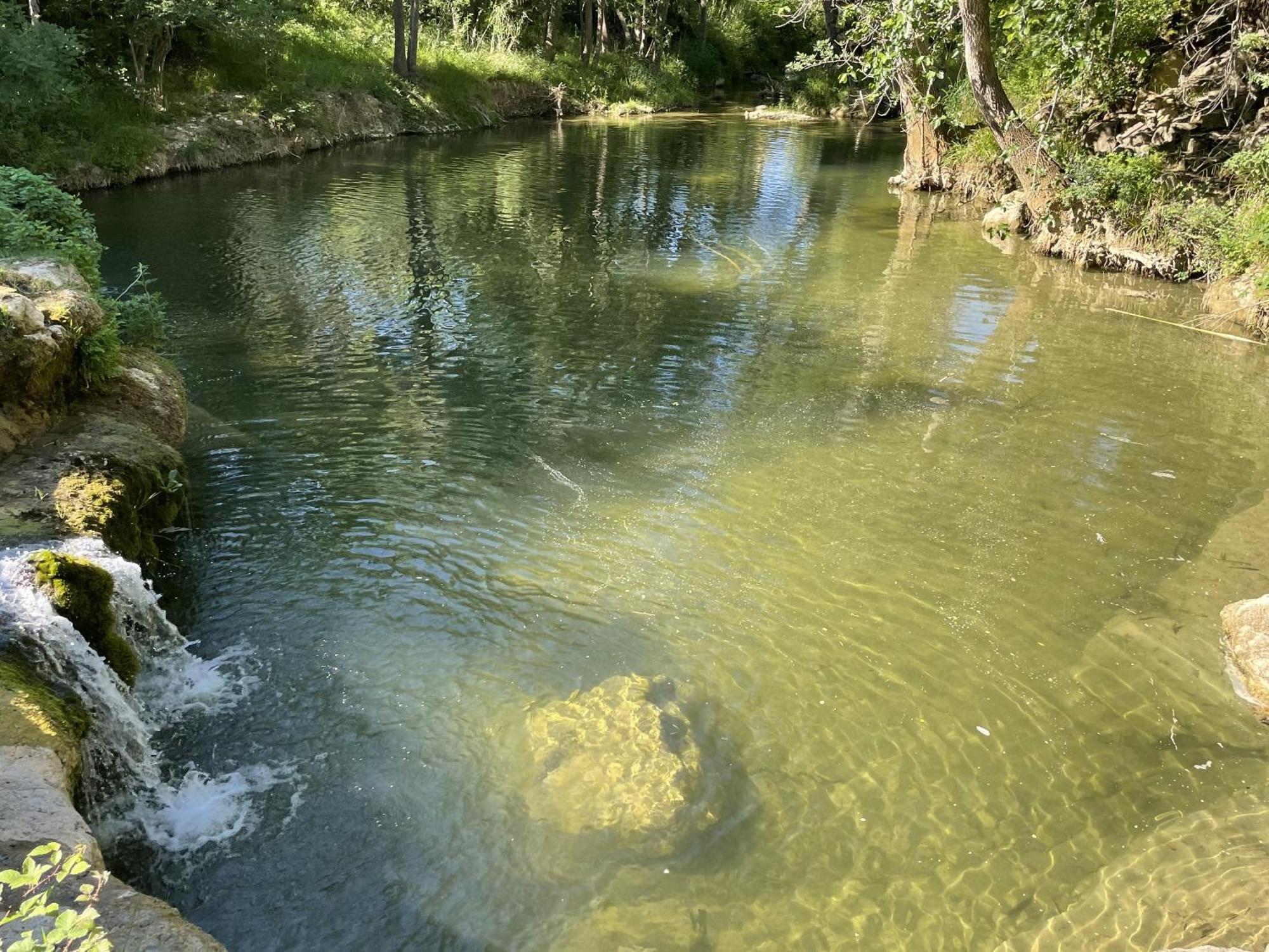Le Domaine De La Tuilerie - Gite De Charme En Bord De Riviere Avec Piscine Servies-en-Val Exterior photo